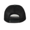 Astec Trucker Hat