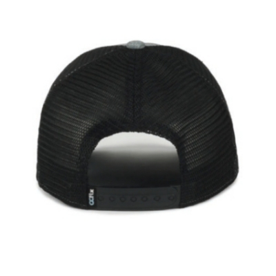 Astec Trucker Hat